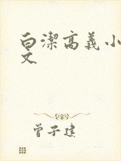 白洁高义小说全文