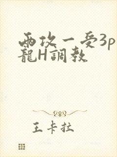 两攻一受3p双龙H调教