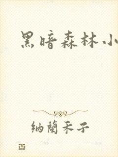 黑暗森林小说