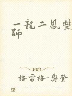 一龙二凤双飞老师