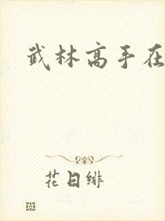 武林高手在异界