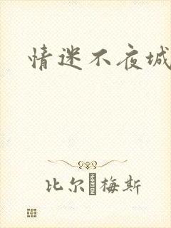 情迷不夜城