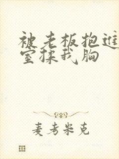 被老板抱进办公室揉我胸