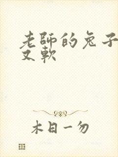 老师的兔子又大又软