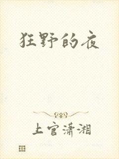 狂野的夜