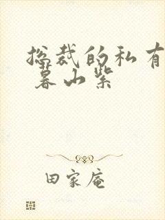 总裁的私有宝贝 暮山紫