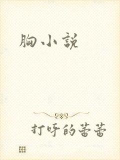 胸小说