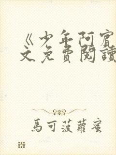 《少年阿宾》全文免费阅读