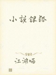 小说银狐