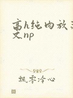 高h纯肉放荡h文np