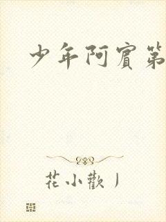 少年阿宾第二部