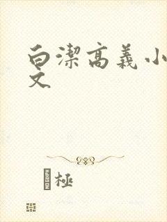 白洁高义小说全文