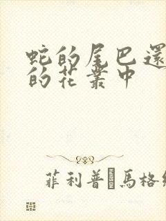 蛇的尾巴还在我的花丛中