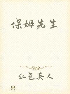 保姆先生
