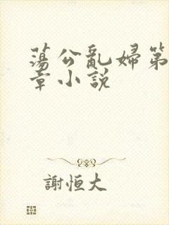 荡公乱妇第51章小说