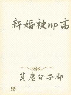 新婚被np高h