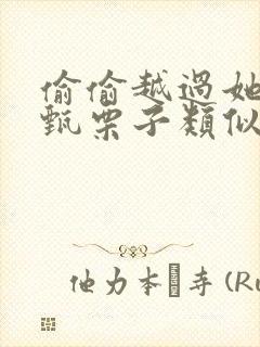 偷偷越过她by甄栗子类似小说