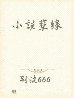 小说孽缘