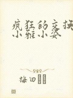 疯狂的交换小静小雅小姿