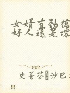 女婿有劲枪枪是好人还是坏人