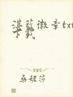 湛蓝徽章txt下载