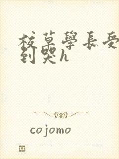 校草学长受被做到哭h