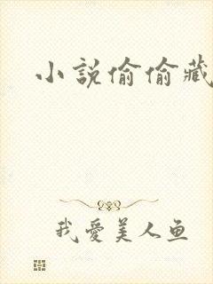 小说偷偷藏不住