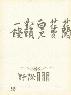 一对白花花的大馒头免费阅读