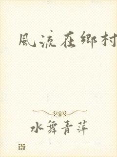 风流在乡村