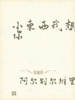 小东西我想弄坏你