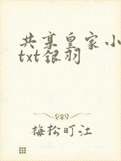 共享皇家小公主txt银羽