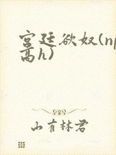 宫廷欲奴(np高h)