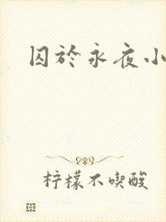 囚于永夜小说