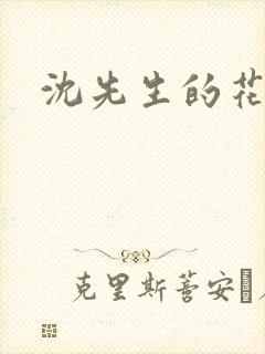 沈先生的花式调