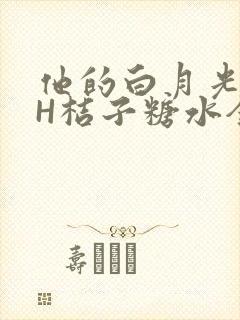 他的白月光HVH桔子糖水全文