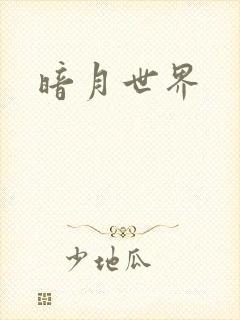 暗月世界