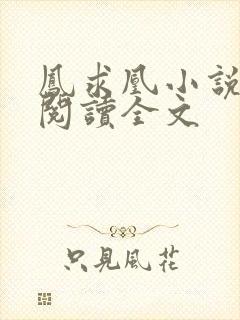 凤求凰小说免费阅读全文