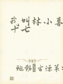 我叫林小喜今年十七