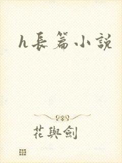h长篇小说