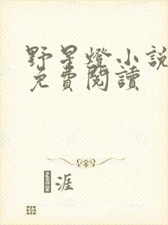 野星灯小说全文免费阅读