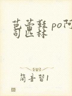 芭蕾鞋 po阿司匹林