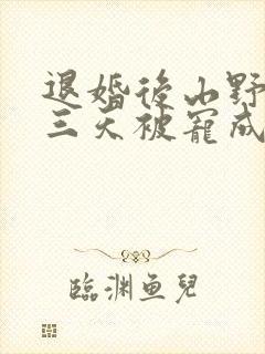 退婚后山野糙汉三天被宠成宝小说