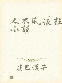 人不风流枉少年小说