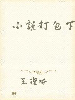 小说打包下载