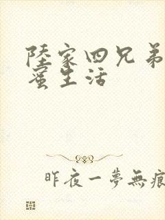 陆家四兄弟的甜蜜生活