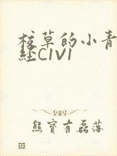 校草的小青梅不经C1V1