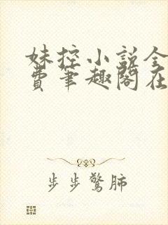 妹控小说全文免费笔趣阁在线阅读