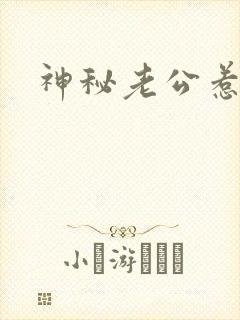 神秘老公惹不起