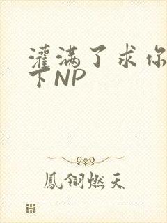 灌满了求你们停下NP