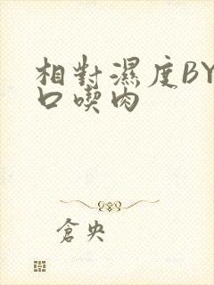 相对湿度BY大口吃肉